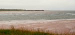 0153 Malpeque Bay