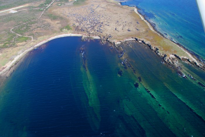 0269 Newfoundland Coast