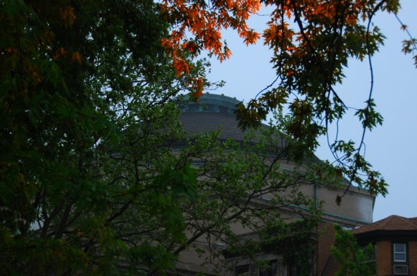 0646 Quiet Dominance