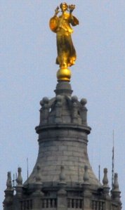 9091 Goverment Blessed