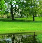 0104 Adams Peace&nbsp;house