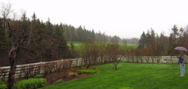 0317 Pondering Past & Present