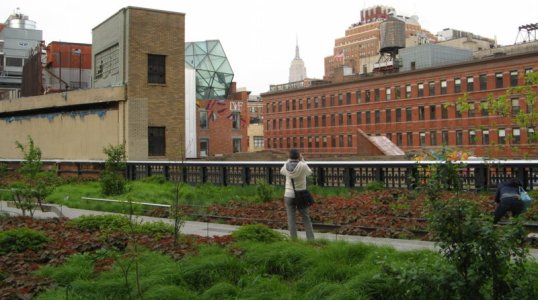 0461 High Line View