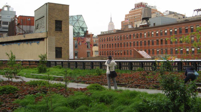 0461 High Line View
