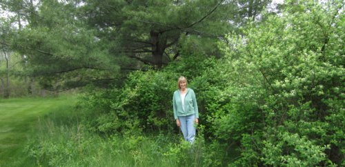 0713 Quiet Sounds & Smells