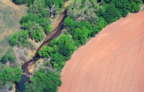 7102 Noodling Notion