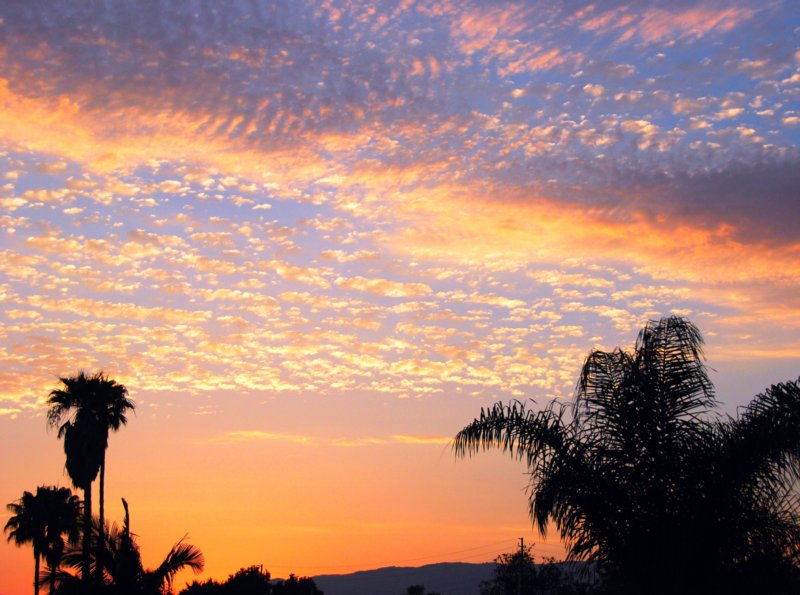 1598 Desert Beach Sky