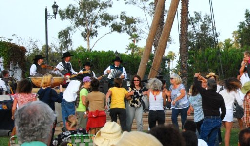 1616 Chasing the Gloom