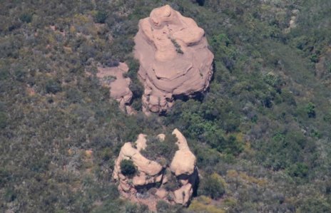 1663 Frowner & Friend