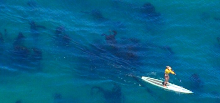 2346 Paddleboarding on Colors