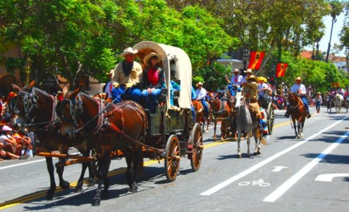 2786 Forest Servicers