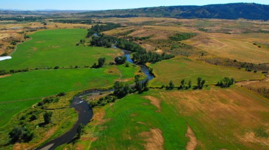 4209 Creek In Council