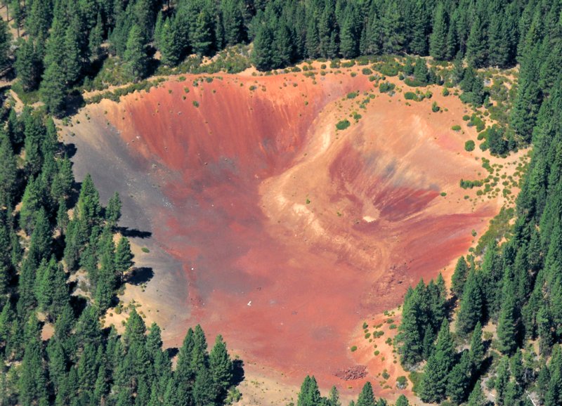 3810 Flying Monkey Face