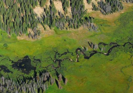 4109 Salmon River Headwaters