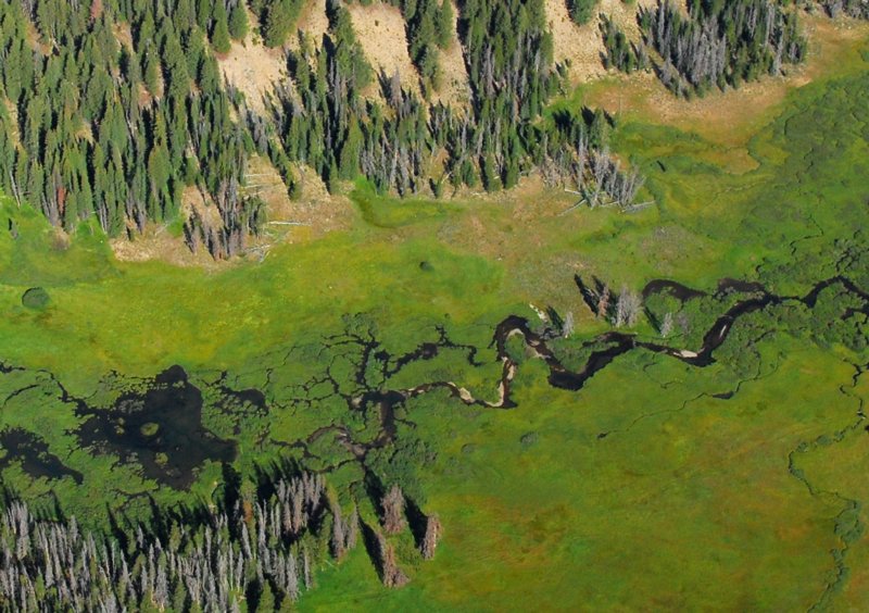 4109 Salmon River Headwaters