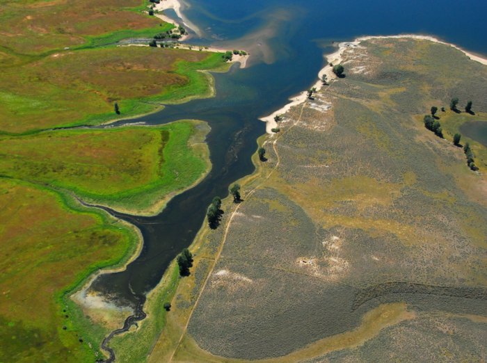 4179 Patterns Of Life