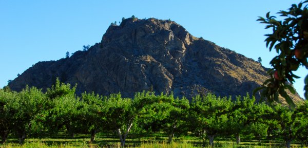 4328 Different Paces 4328 Different Paces