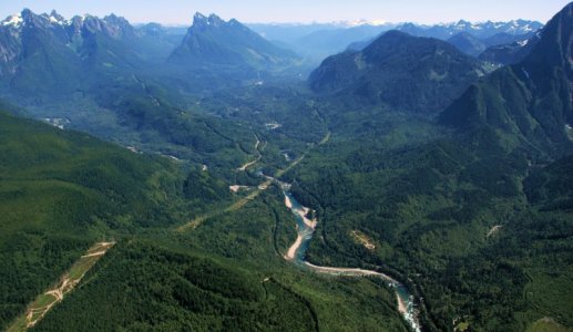 4543 Enchanted Landscape