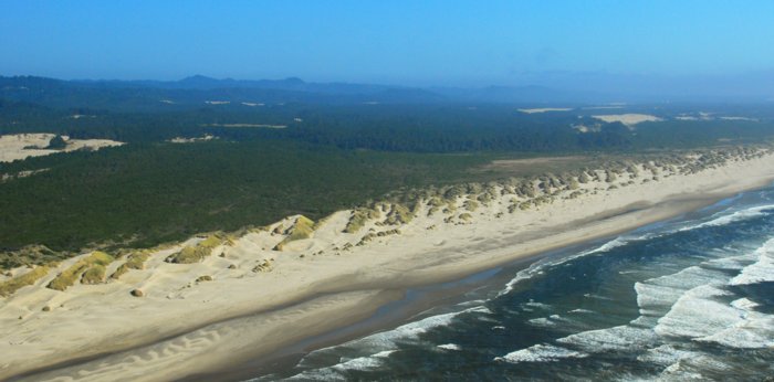 5280 Slanted Cordouroy Dunes