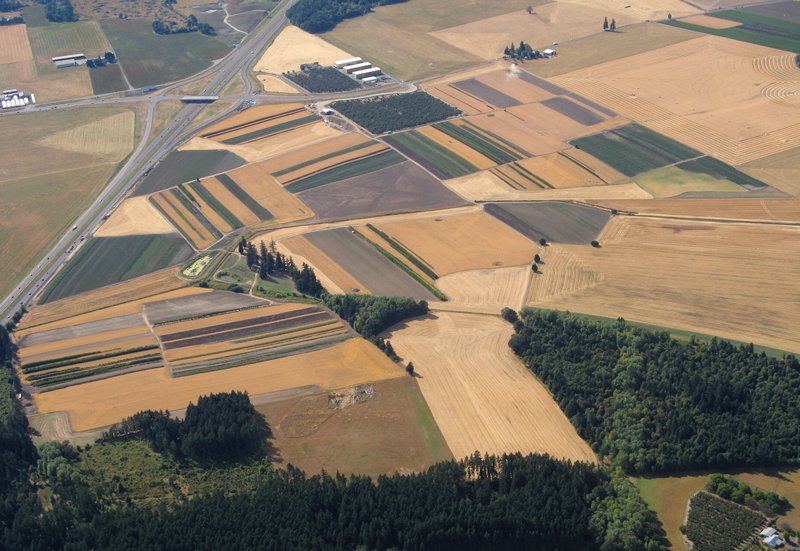 0815 Patterms from the air