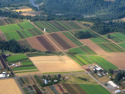 0836 Greener pastures