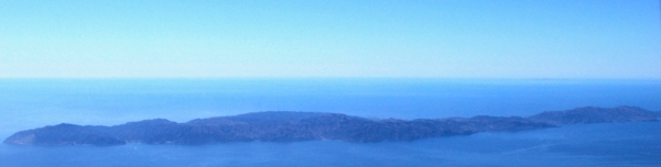 6796 Catalina Delight