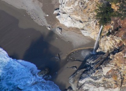 7194 Gulls Just Wanna Have Fun