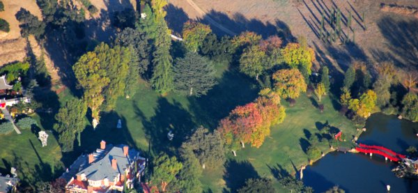 7618 Kwai Accents 7618 Kwai Accents