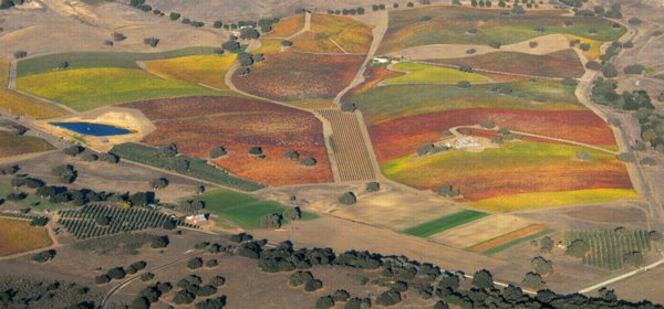 7742 Colors & Shapes