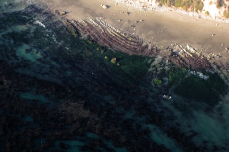 1569 Low Tide Swirls