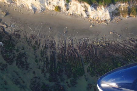 1579 Low Tide Shapes & Tripp Reflects herself