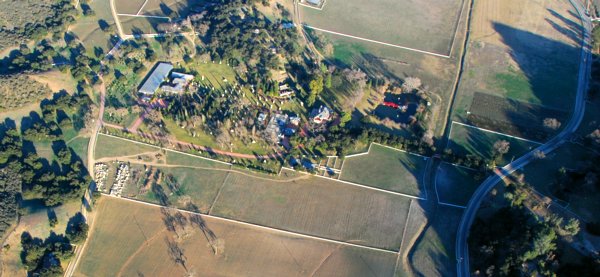 9593 Murdock's Fancy