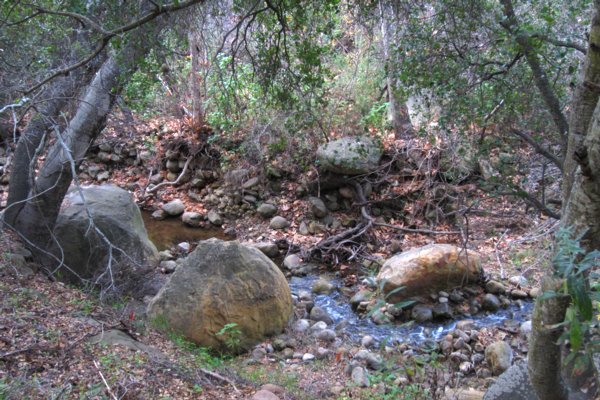 2085 Up a Creek