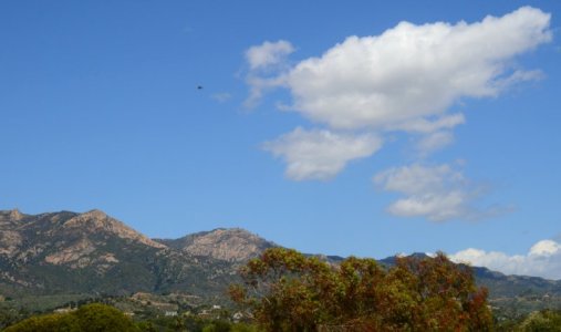 0235 Cloud, Bird, Mountain