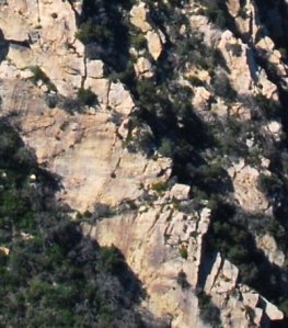 1836 Nature or Culture?