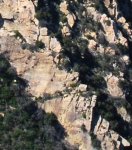 1836 Nature or&nbsp;Culture?