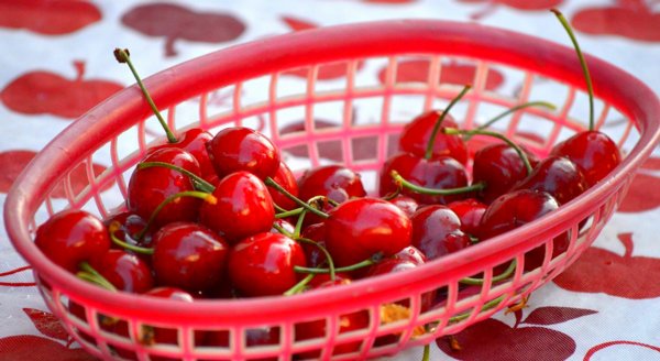 0007 Bowl of Cherries