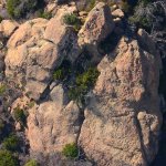 0129 Weathered Texture