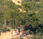 0257 Yarn Bombed&nbsp;Tree
