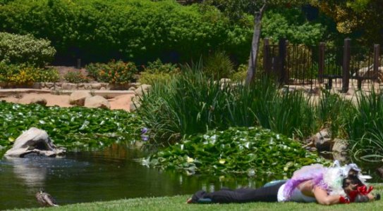 0592 Fairy Landing 0592 Fairy Landing