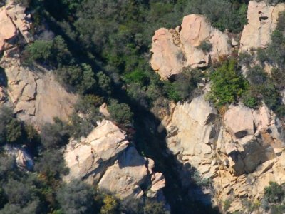 1855 Fantasy Shapes 1855 Fantasy Shapes