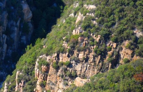 1857 Detail 1857 Detail