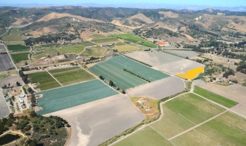 0843 Lompoc Valley Vista