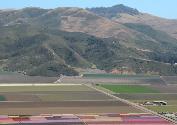 0846 Soft Shapes & Colors