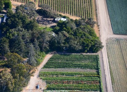 1235 Paradise Nearby