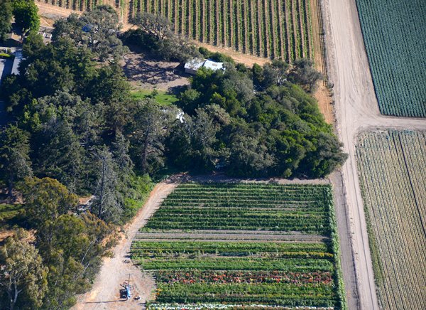 1235 Paradise Nearby