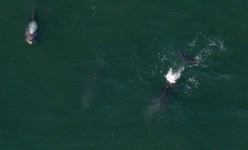 1389 Breath Sequence 1