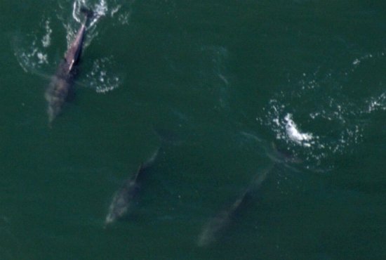 1390 Breath Sequence 2