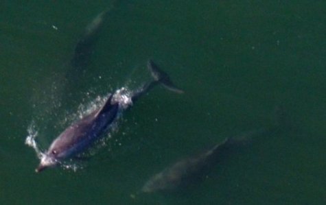 1392 Breath Sequence 3