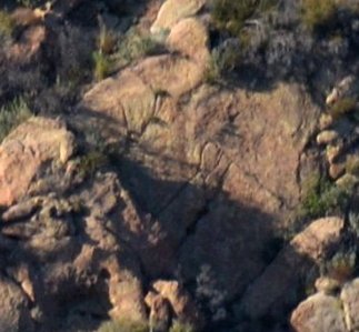 1579 Perspective Shift